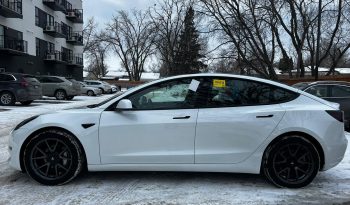 2023 Tesla Model 3 – TGC Motors – 8