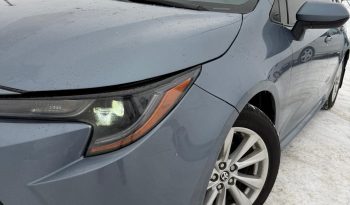 corolla – 2