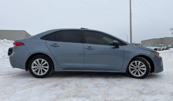 corolla – 6