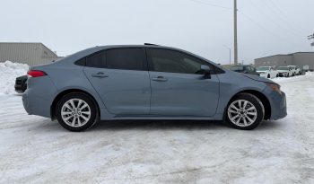 corolla – 7