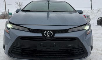 corolla – 9